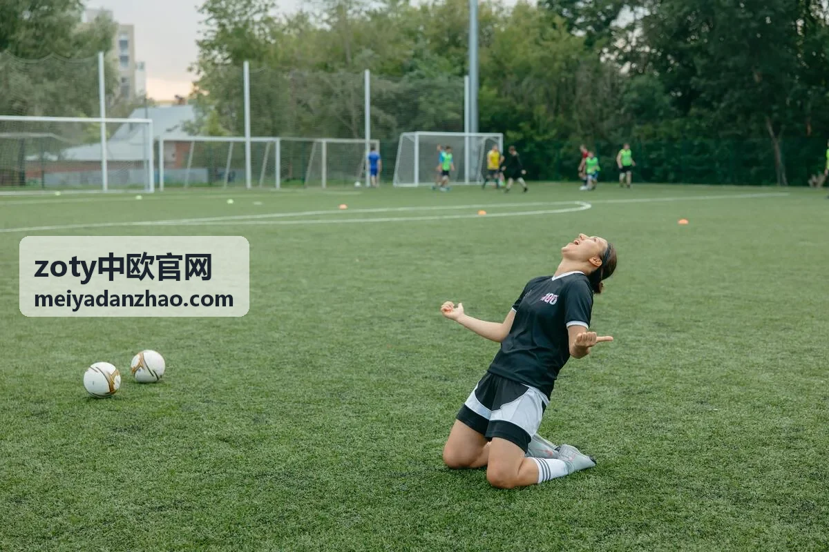 zoty中欧官网中欧商务团队洽谈场景